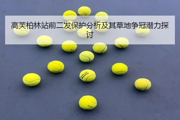 高芙柏林站前二发保护分析及其草地争冠潜力探讨